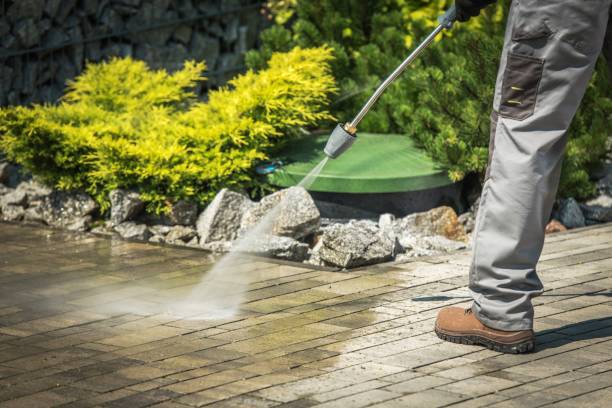 Best Winterizing Services  in Dentsville, SC