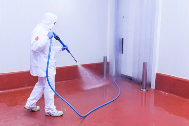Best Sign and Awning Cleaning  in Dentsville, SC